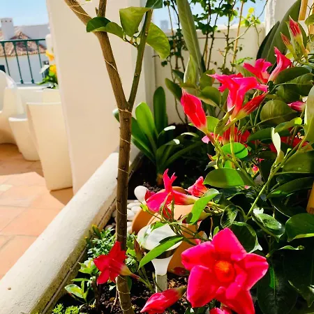 Balcon De Sierra Cortina! Panoramic Sea View ! * Finestrat